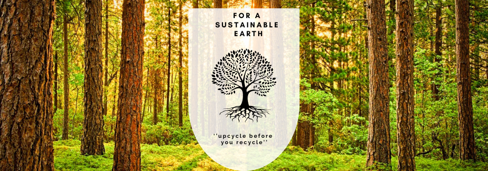 How to become more Sustainable?