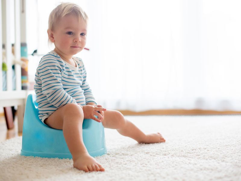 How to potty train a toddler?