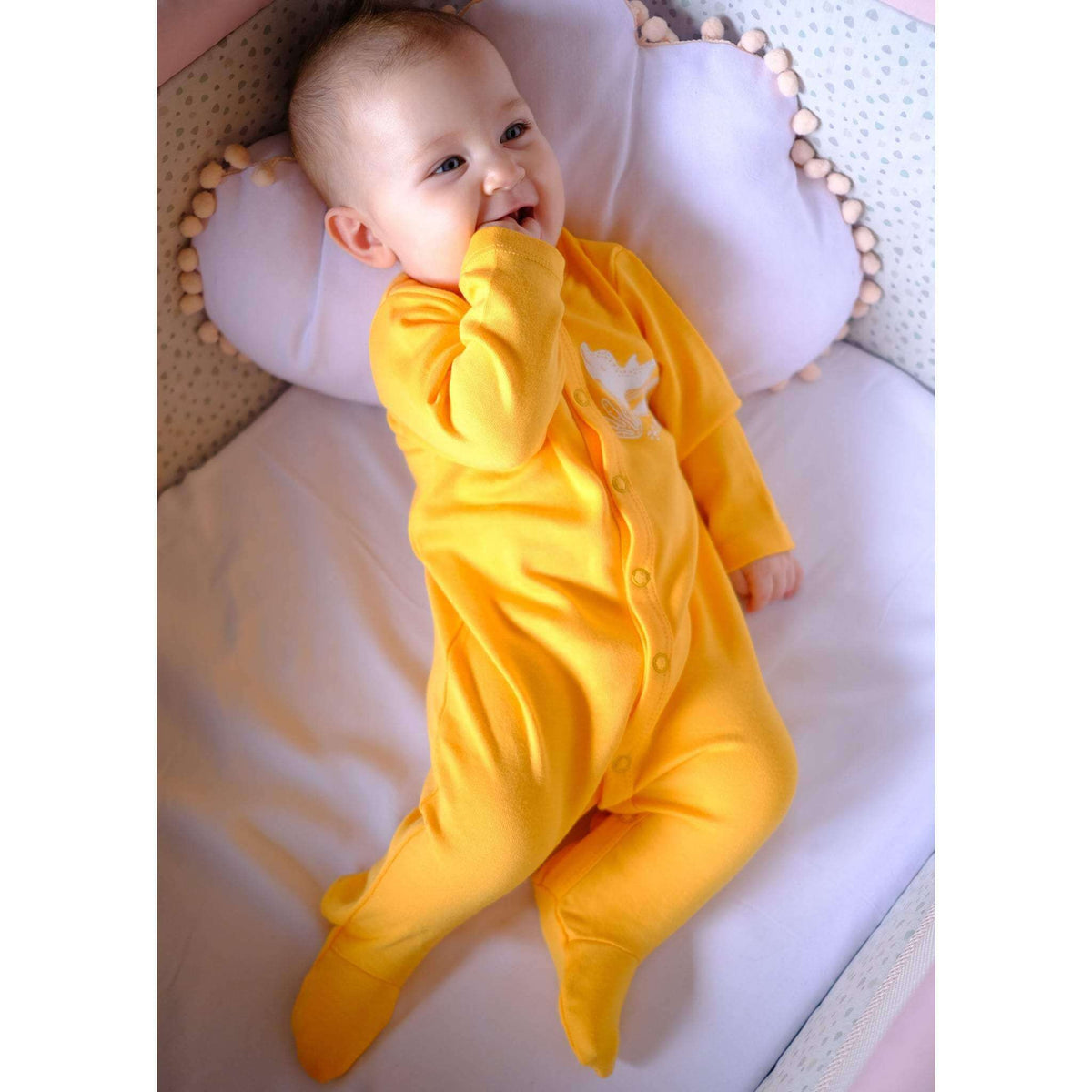 Dolphin Organic Baby Sleepsuit Close Toe | Bebekish