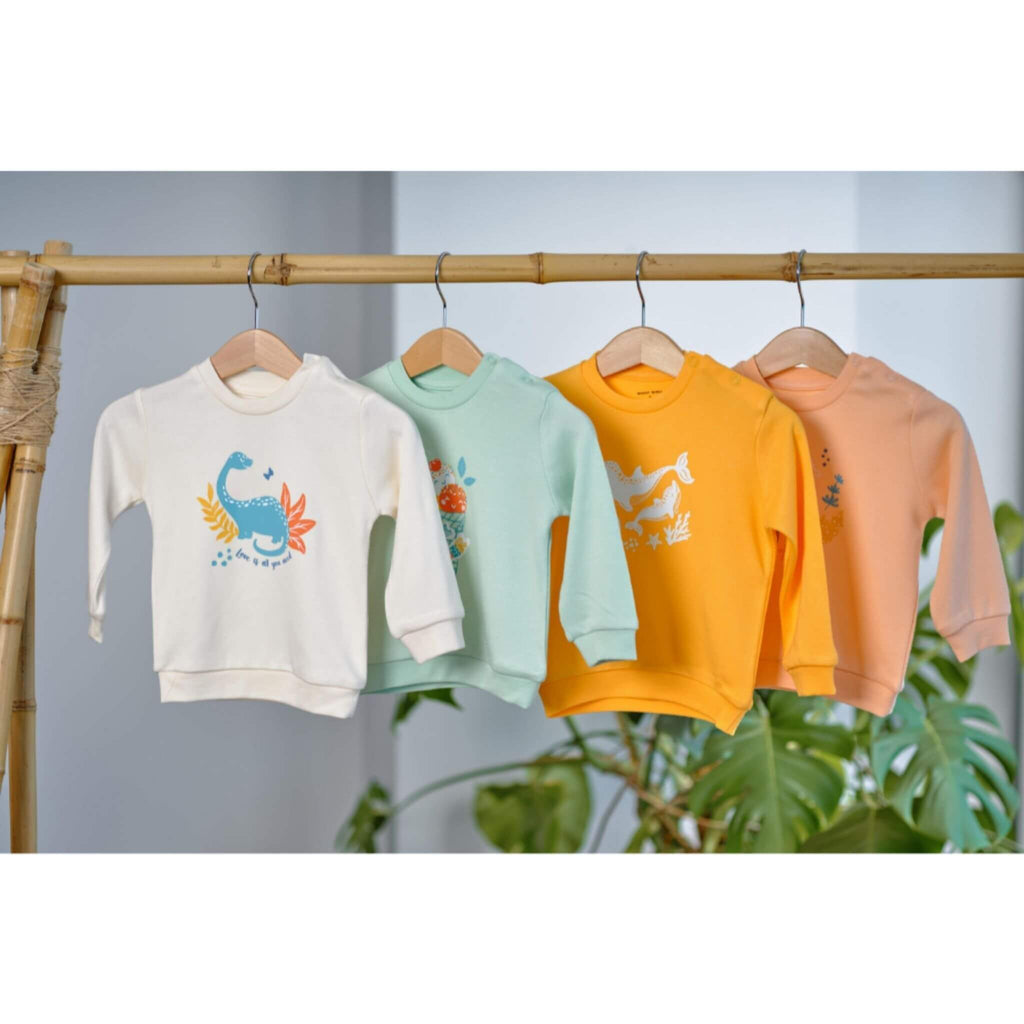 Baby Dino Organic Sweatshirt Bebekish